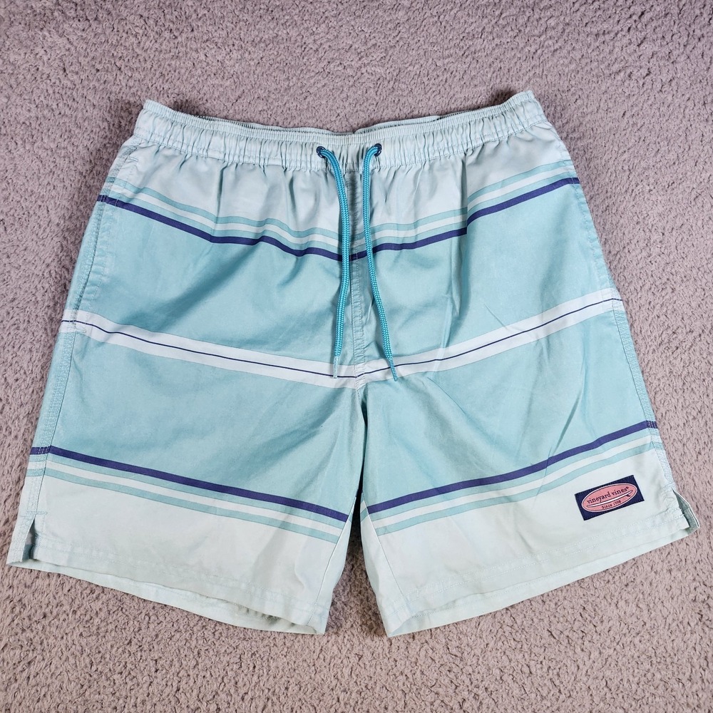 Vineyard Vines Men's Small Swim‎ Trunks Board Shorts Blue White Striped Lined